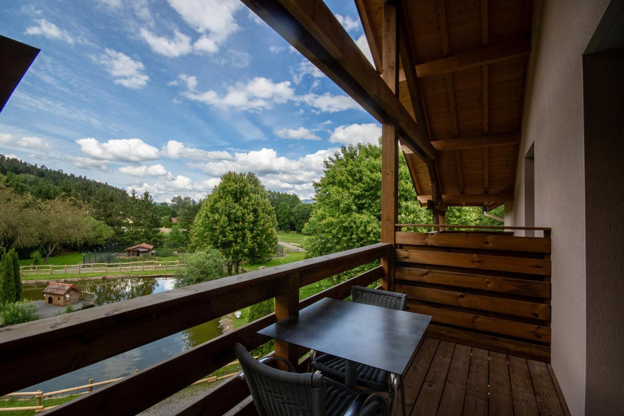 Logis Hotel Le Regal & Spa Saint-Die-des-Vosges Екстер'єр фото