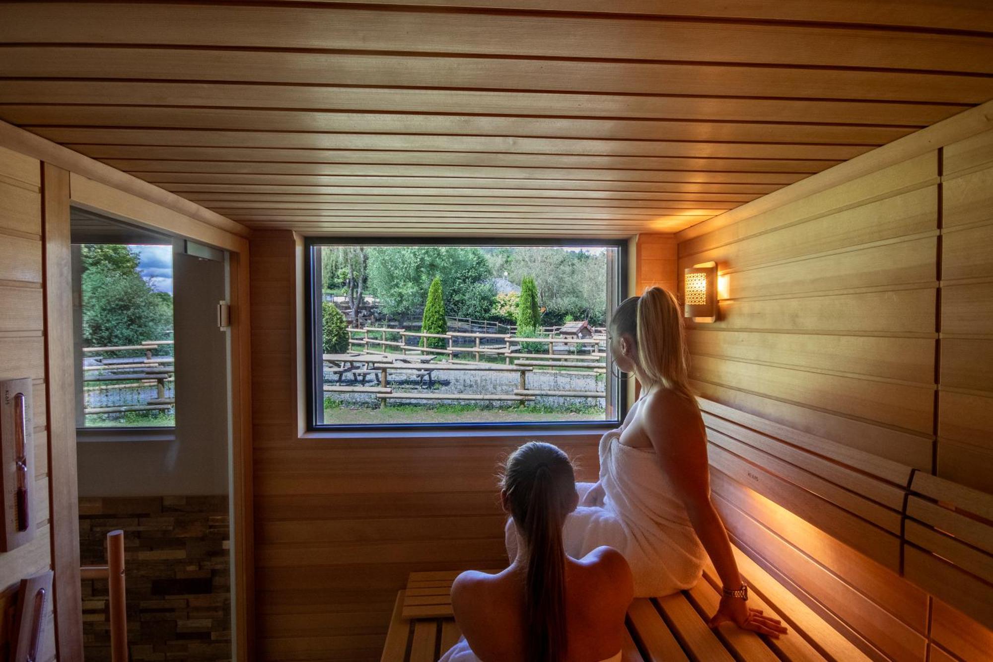 Logis Hotel Le Regal & Spa Saint-Die-des-Vosges Екстер'єр фото