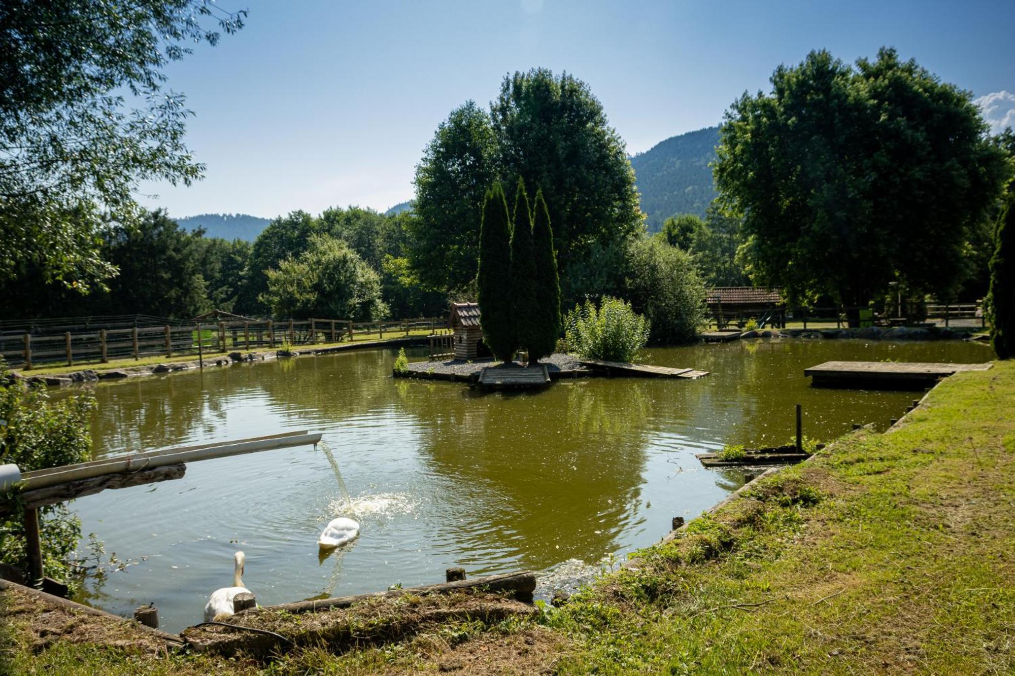 Logis Hotel Le Regal & Spa Saint-Die-des-Vosges Екстер'єр фото